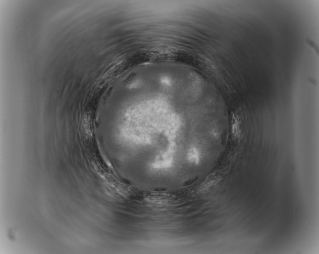 X0000100760819200807101725