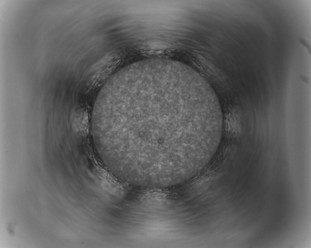 X0000100760820200807101725