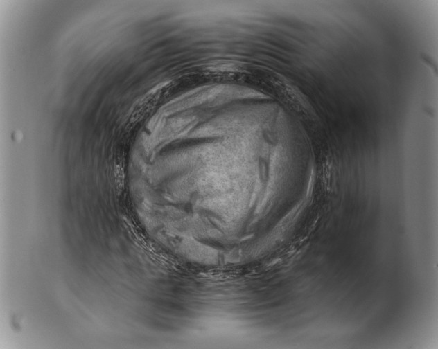 X0000100760821200807101725