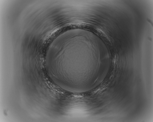 X0000100760822200807101725