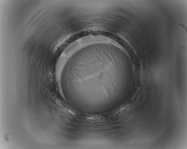 X0000100760823200807101725