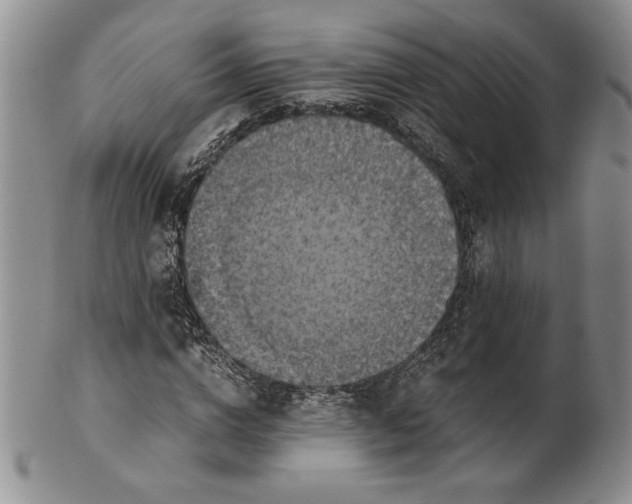 X0000100760824200807101725