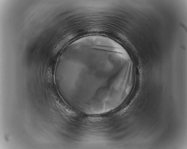 X0000100760825200807101725