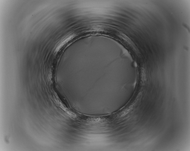 X0000100760826200807101725