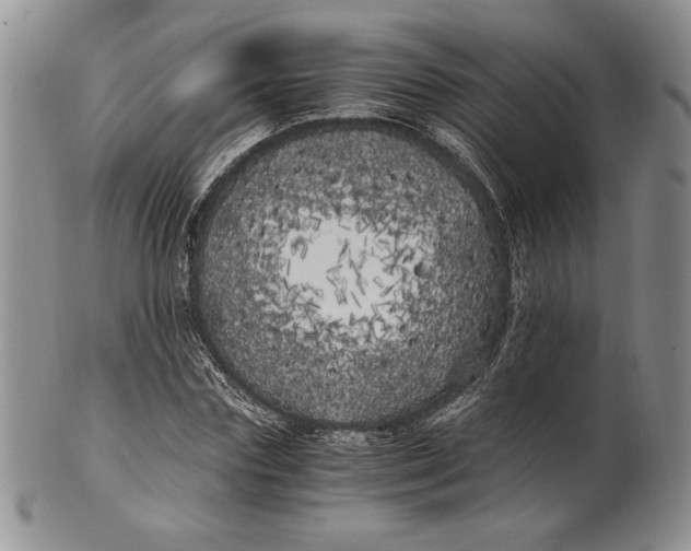 X0000100760827200807101725