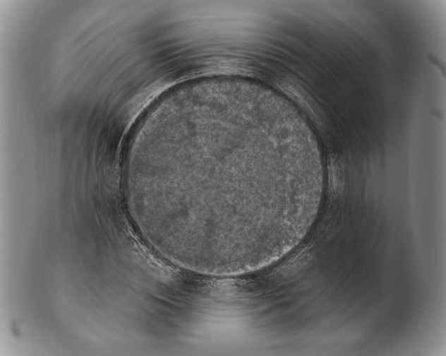 X0000100760828200807101725