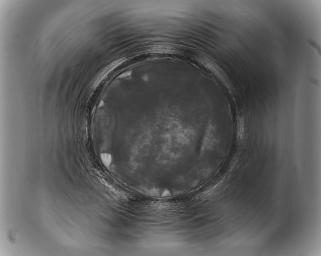 X0000100760829200807101725