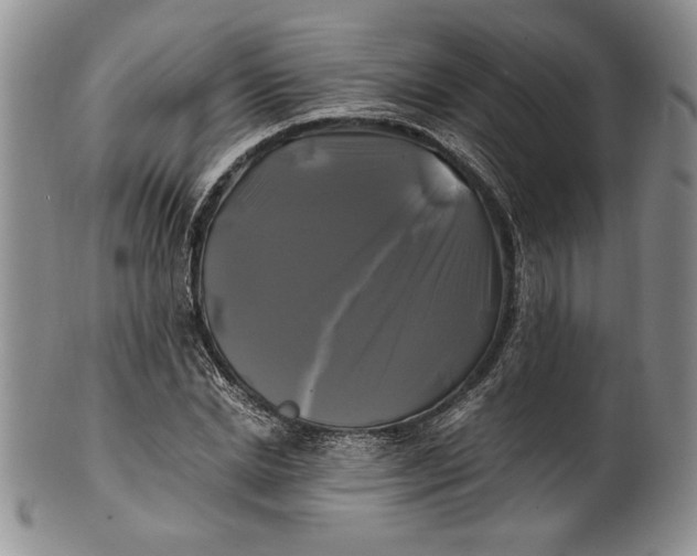 X0000100760830200807101725