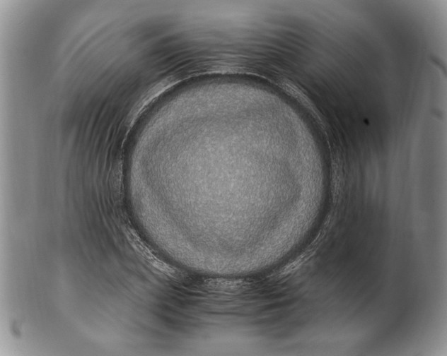 X0000100760831200807101725