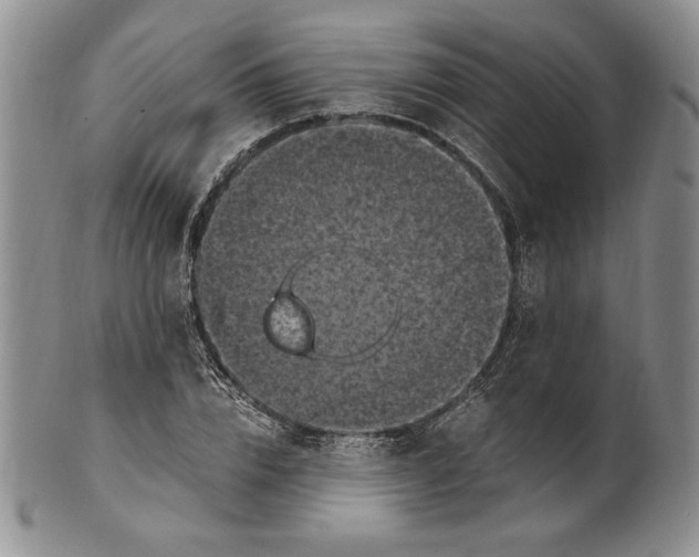 X0000100760832200807101725