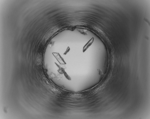 X0000100760833200807101725