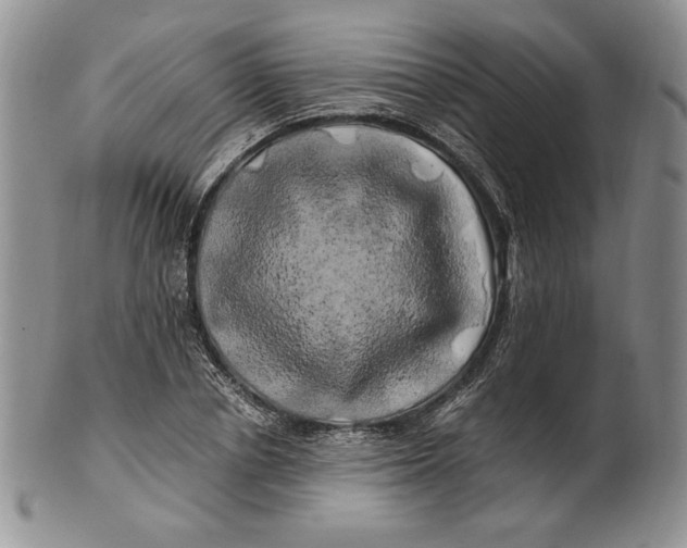 X0000100760834200807101725