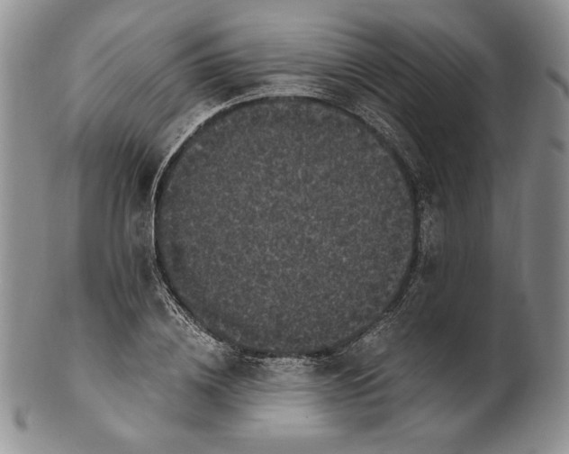 X0000100760836200807101725