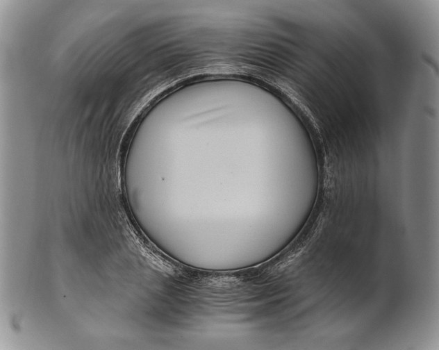 X0000100760837200807101725