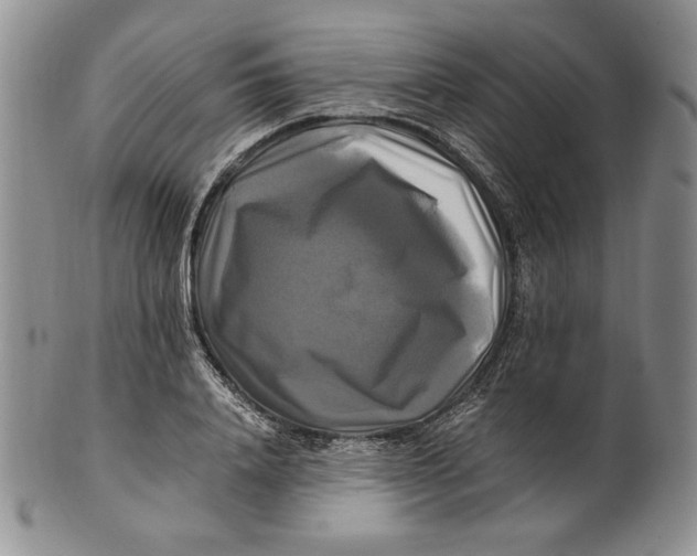 X0000100760840200807101725