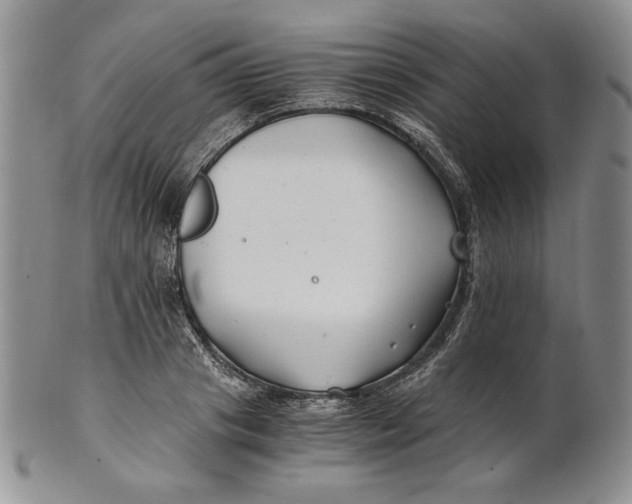 X0000100760841200807101725