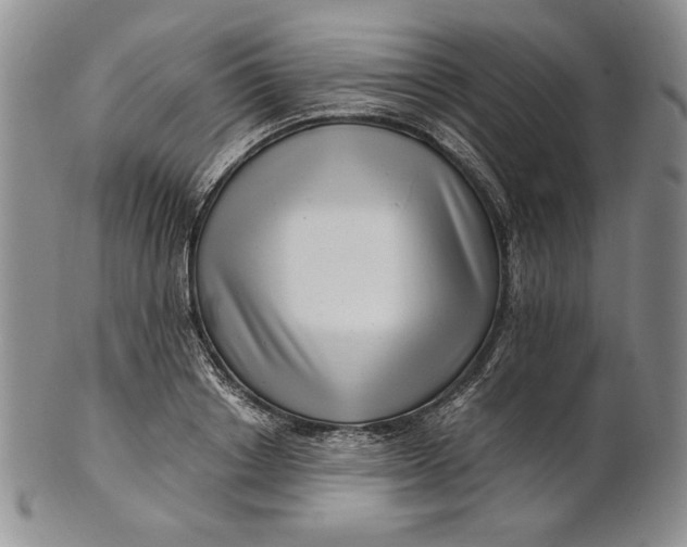 X0000100760842200807101725