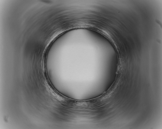 X0000100760843200807101725