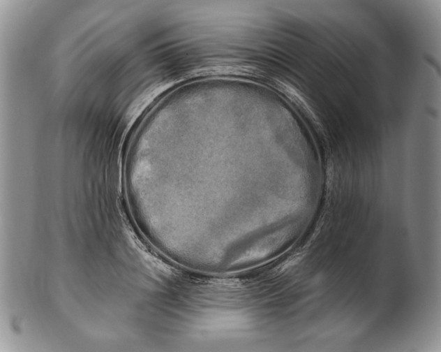 X0000100760844200807101725