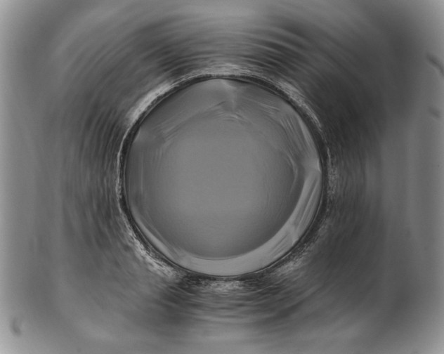 X0000100760845200807101725