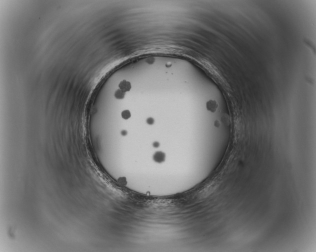 X0000100760846200807101725