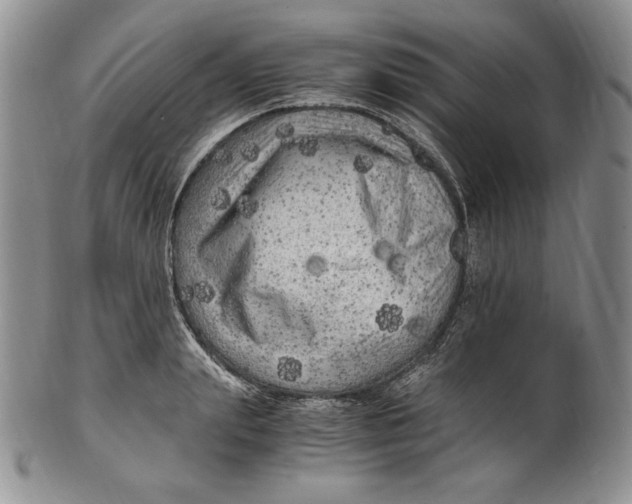 X0000100760847200807101725