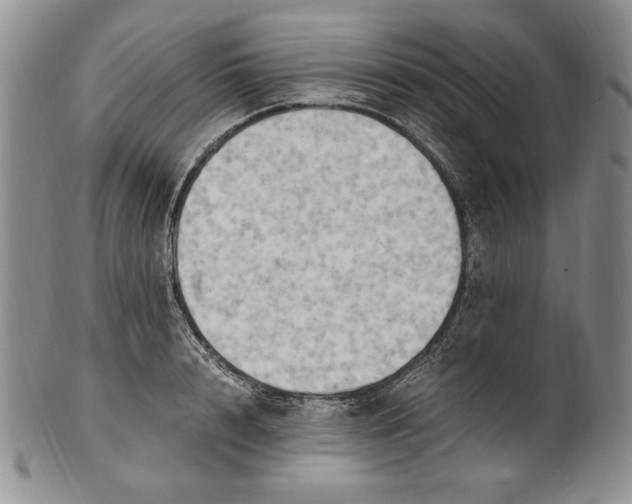 X0000100760848200807101725