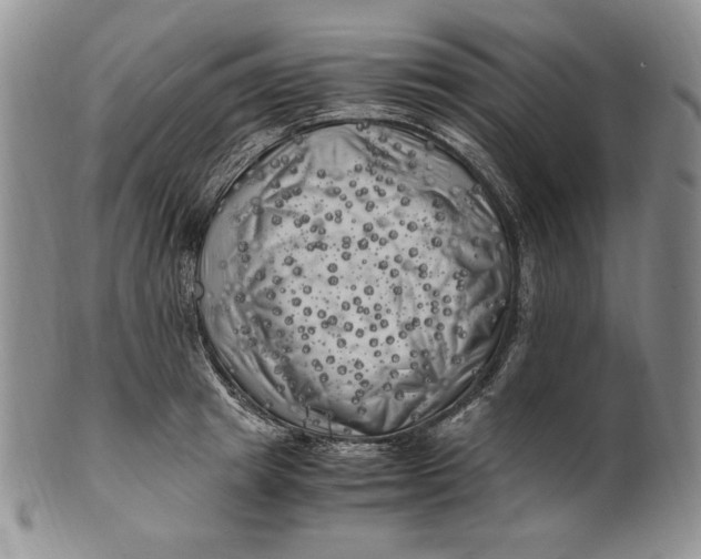 X0000100760849200807101725