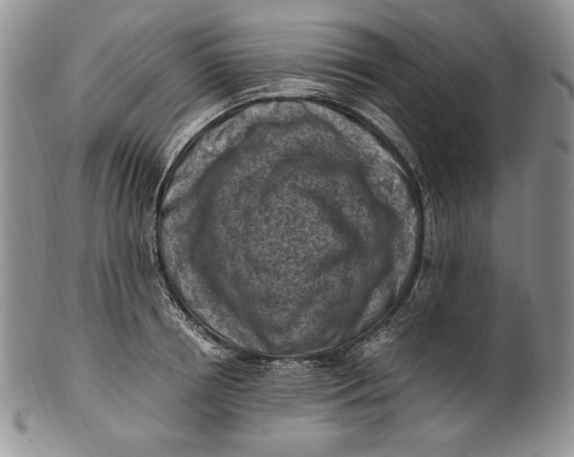 X0000100760850200807101725