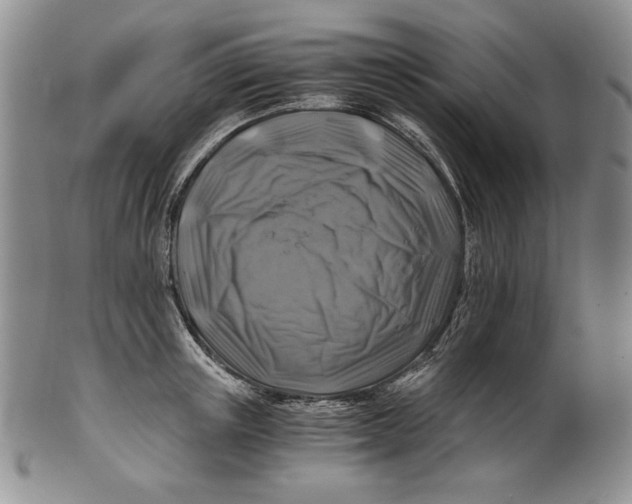X0000100760851200807101726