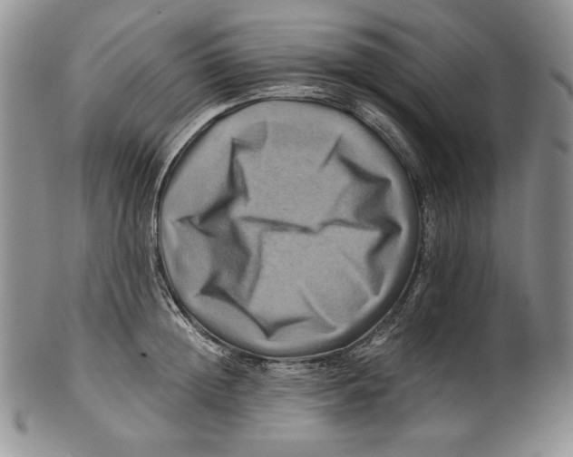 X0000100760852200807101726