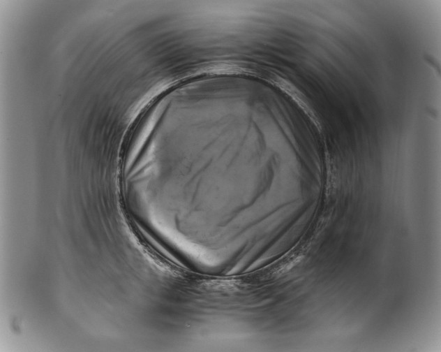 X0000100760853200807101726
