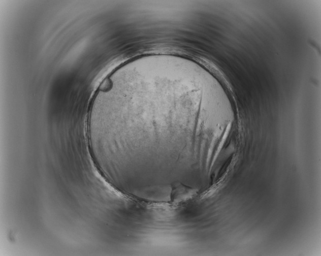 X0000100760855200807101726