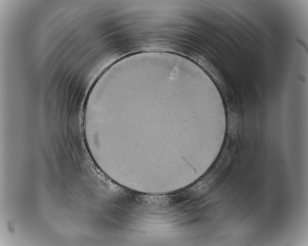 X0000100760856200807101726