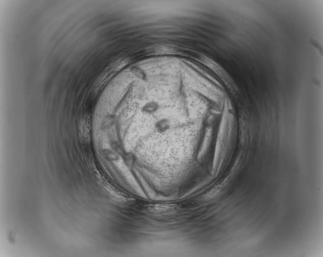 X0000100760857200807101726