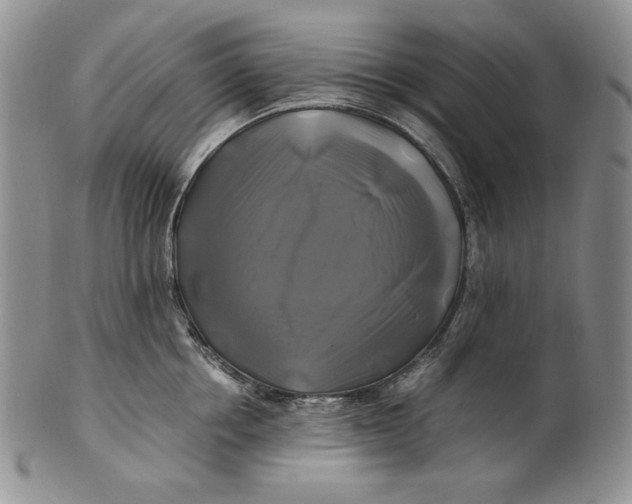 X0000100760858200807101726