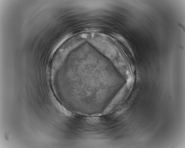 X0000100760859200807101726