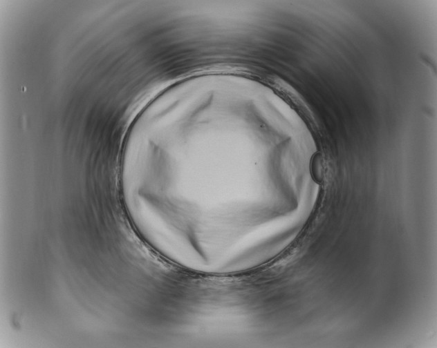 X0000100760860200807101726