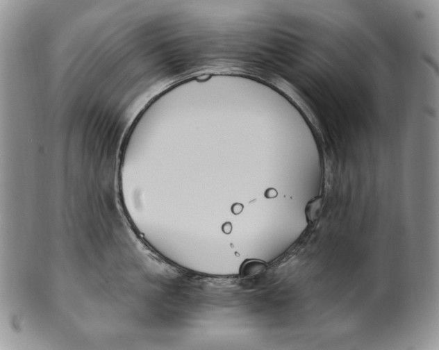 X0000100760861200807101726