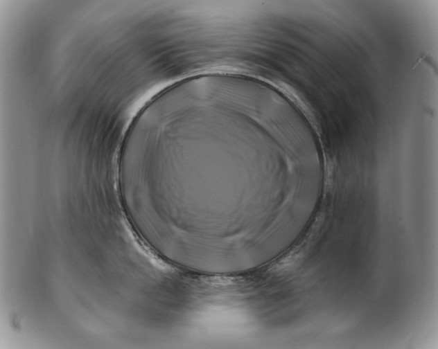X0000100760862200807101726