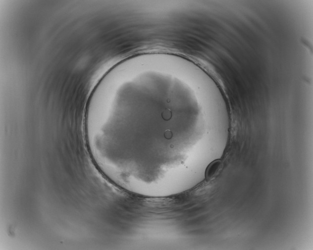 X0000100760863200807101726