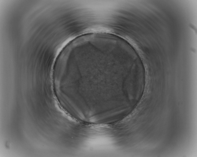 X0000100760864200807101726