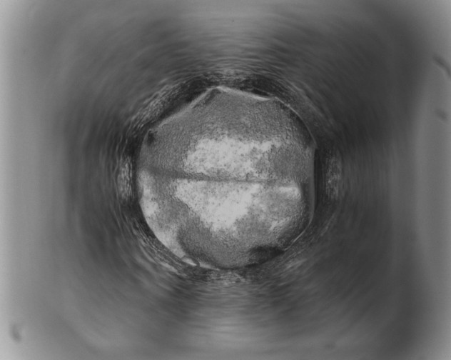 X0000100760866200807101725