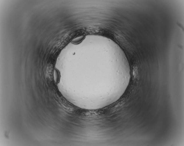 X0000100760867200807101725