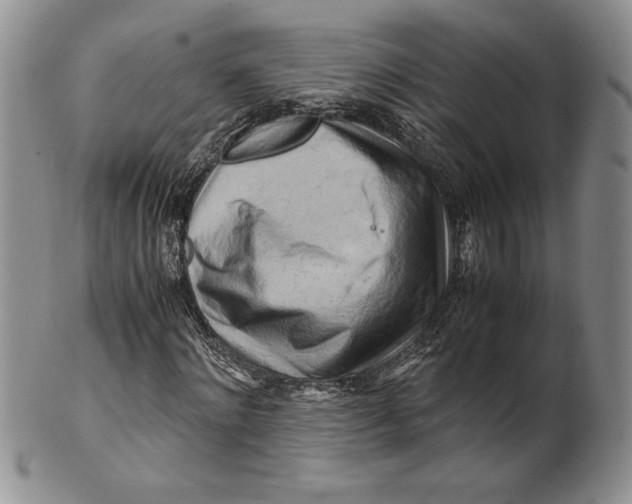 X0000100760868200807101725