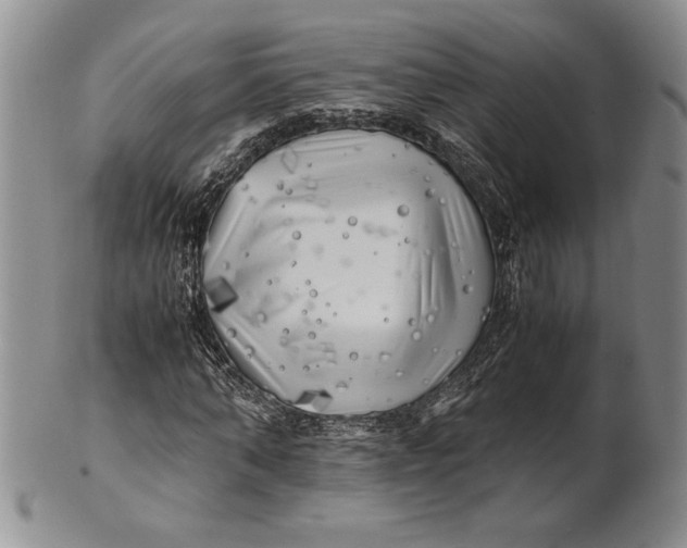 X0000100760870200807101725