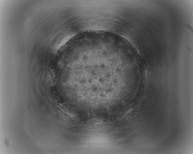 X0000100760871200807101725