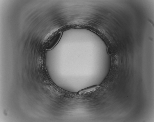 X0000100760872200807101725