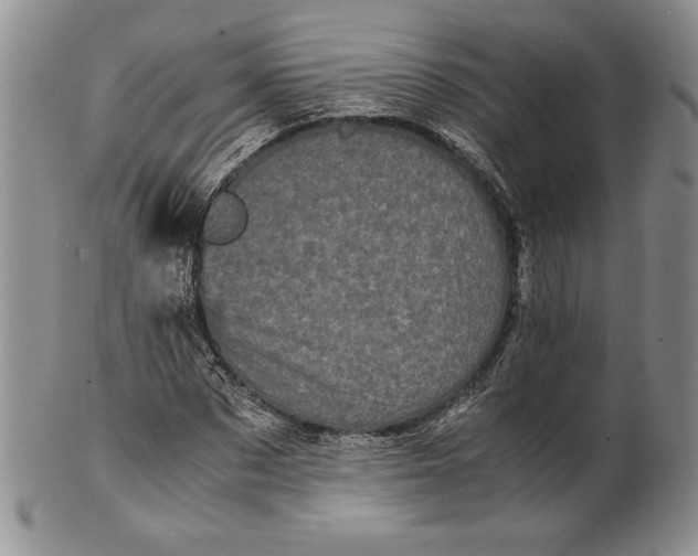 X0000100760873200807101725