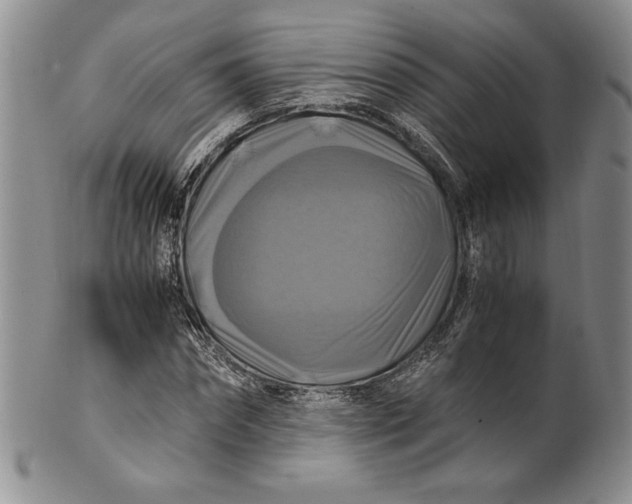 X0000100760874200807101725